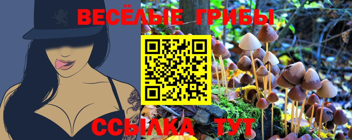 Галлюциногенные грибы Magic Shrooms  Вход с VPN  Тольятти  Галлюциногенные грибы ЛСД 